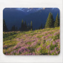 Search for olympic mousepads Colour