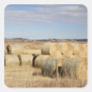 Search for crooked stickers Autumn