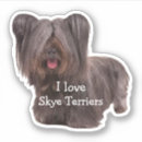 Search for skye Pets