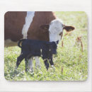 Search for calf mousepads Agriculture