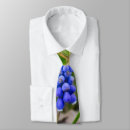 Search for lonely ties Nature