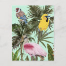 Search for tropical greenery postcards Palm leaves