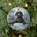 Search for labrador dog christmas decor Blue