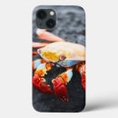 Search for crab cases Colourful