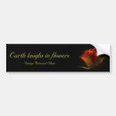 Search for rose red bumper stickers Black