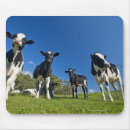 Search for pasture mousepads Agriculture
