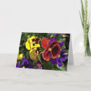 Search for multi colour cards Garden