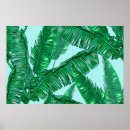 Search for vintage tropical posters Jungle