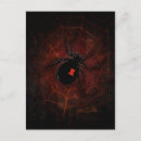 Search for spider designs postcards Spiders