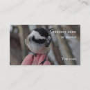 Search for trust photography Nature