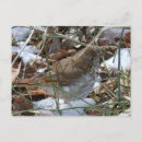 Search for hermit postcards Cute