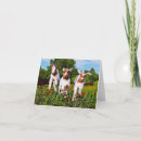 Search for babies note cards Nature