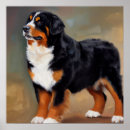 Search for bernese mountain dog puppy posters Animal