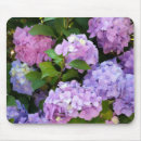 Search for hydrangea mousepads Summer