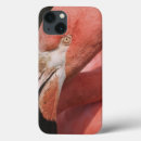 Search for flamingos ipad cases Pink