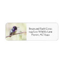 Search for birds on a branch return address labels Hummingbird