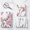 Search for carnation wrapping paper Floral
