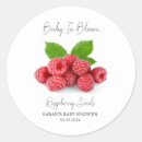 Search for raspberry stickers Baby shower