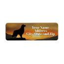 Search for cool return address labels Pretty