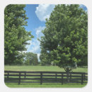 Search for lexington stickers Kentucky