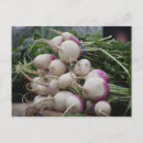 Search for producing postcards Organic