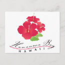 Search for state flower postcards Usa