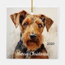 Search for airedale christmas tree decorations Watercolor