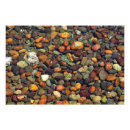 Search for pebble art Stones