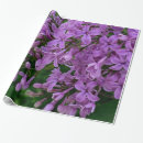 Search for lilac wrapping paper Lavender