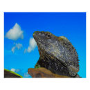 Search for large dragon posters Lizard