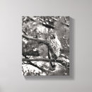 Search for black and white bird canvas prints Outdoors