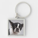 Search for one shot key rings Looking at camera