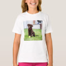 Search for chocolate labrador tshirts Animal