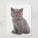 Search for eyeglasses cards Kitten
