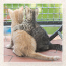 Search for image coasters Photography