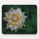 Search for imaginativeness standard mousepads For her