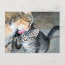 Search for bath time postcards Cute