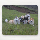 Search for dog lover mousepads Cute