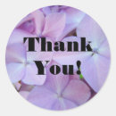 Search for hydrangea thank you stickers Thanks