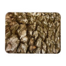 Search for textures magnets Nature