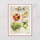 Search for plant trees postcards Illustration