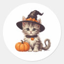 Search for witch costume stickers Trick or treat