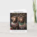Search for chocolate labrador cards Labradors