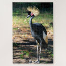 Search for crown puzzles Bird
