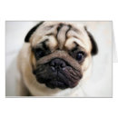 Search for sad miss you puppy postcards Adorable