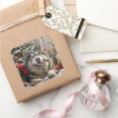 Search for alaskan stickers Dog