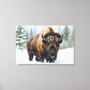 Search for bison canvas prints Buffalo
