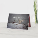 Search for mallard duck christmas cards Nature