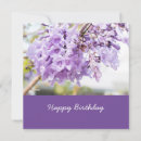 Search for jacaranda tree Flower