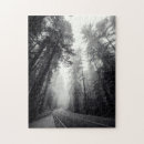 Search for redwood national park puzzles Landscape